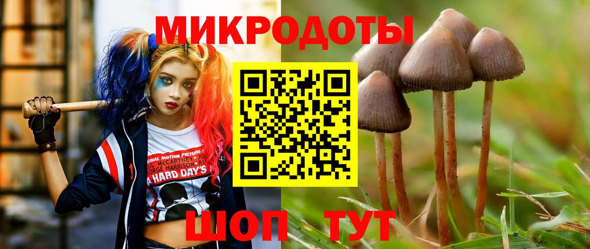 наркота  Вход с VPN  Псилоцибиновые грибы мухоморы  Комсомольск-на-Амуре  Псилоцибиновые грибы GOLDEN TEACHER 